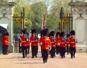 Coldstream Guards marching through the gates of Buckingham Palace during the Changing of the Guard ceremony, Westminster, London, London, England.